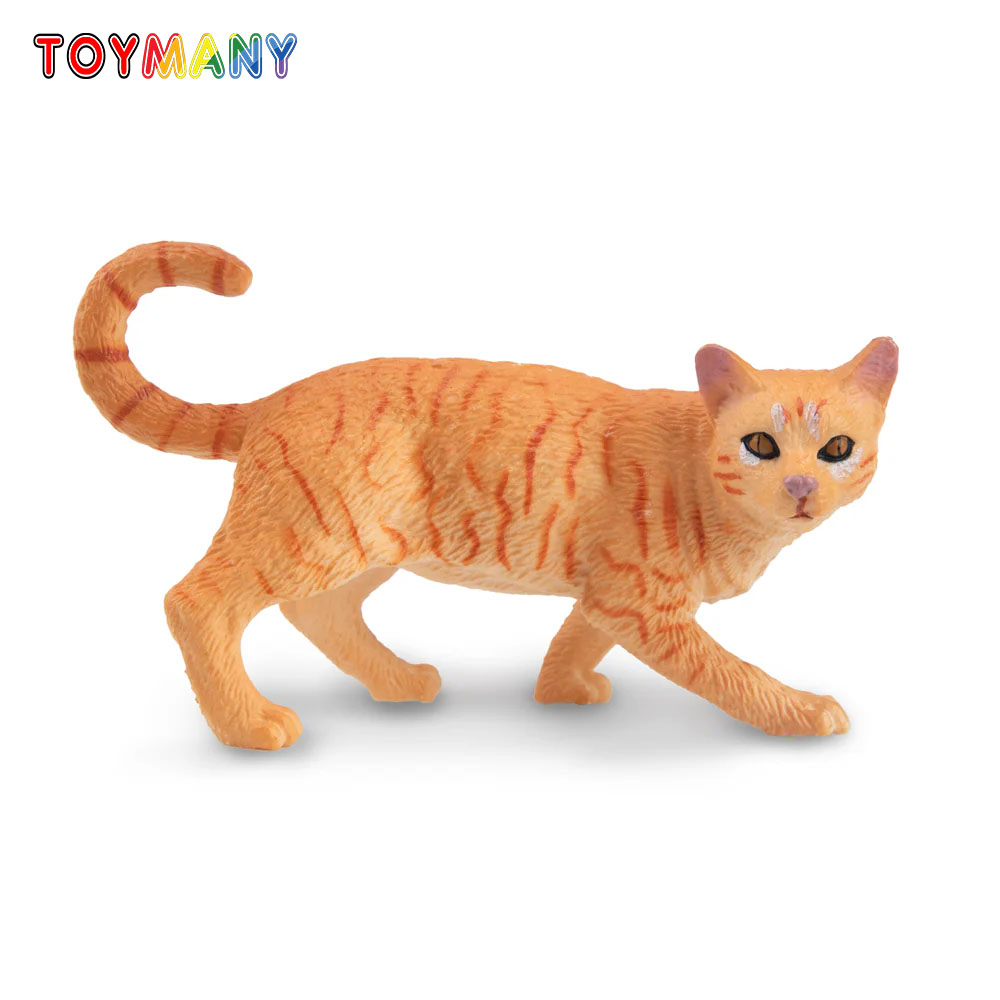 Toymany จําลอง Striding สีส้ม  - Kids First Education บทวิจารณ์และราคา